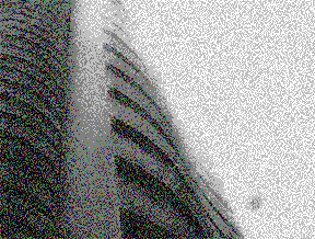 S&Atilde;O PAULO - 13⁰C  19:45 (PRON&Oacute;STICO DEL TIEMPO)